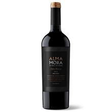 ALMA MORA SELECCION MALBEC 1X750ml