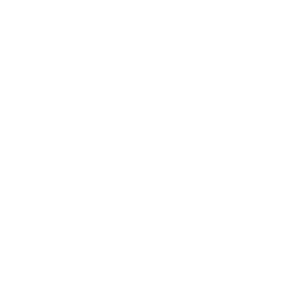 Andina - Coca-cola